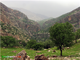  دورنمایی  از  آبشار  دوم. 