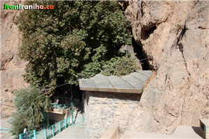  سقف  زیارتگاه  و  درخت  چنار  بزرگی  که  تنه‌ی  آن  در  داخل  زیارتگاه  است. 